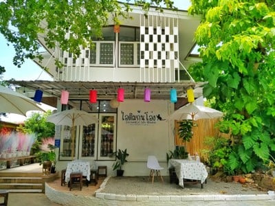 ติมติมแคทโฮมคาเฟ่ ไอติมโอ่งและคาเฟ่แมว1