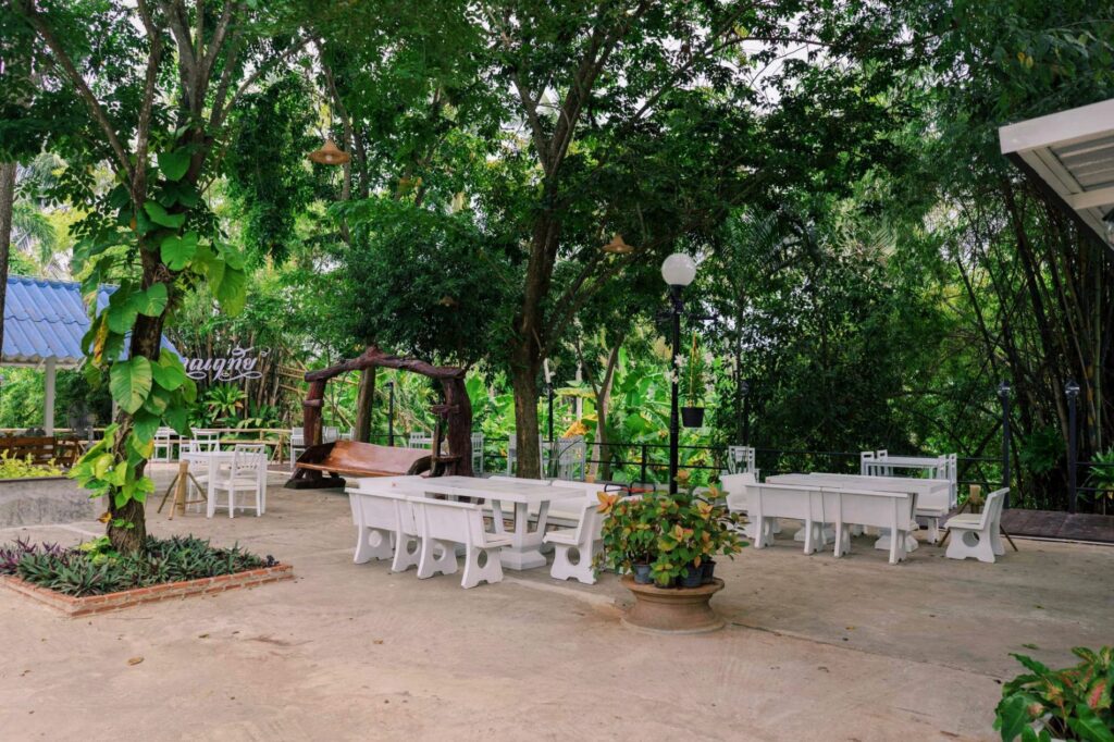 ปราณฤทัย ปราณบุรีวิวต้นไม้