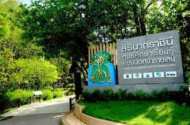 สูนศึกษาเรียนรู้ระบบนิเวศป่าชายเลนสิรินาถราชินี
